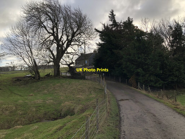 Photo 6"x4" West Pasture Farm Gilmonby c2022
