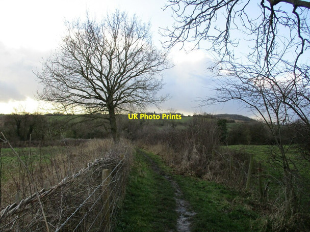 Photo 6"x4" Path to Keyworth Meadows Nature Reserve Keyworth c2022