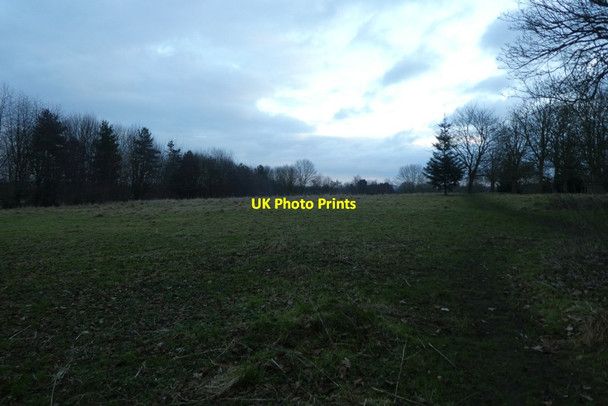 Photo 6"x4" Clearing in North Campus Heslington c2022