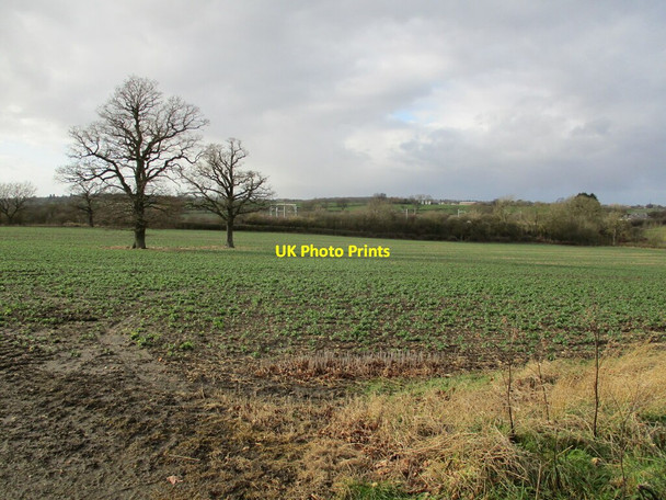 Photo 6"x4" Field of oilseed rape and Old Dalby Test Track Widmerpool c2022