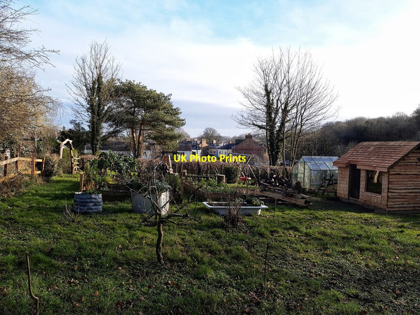 Photo 6"x4" Allotments near Hagg Bank Prudhoe c2022