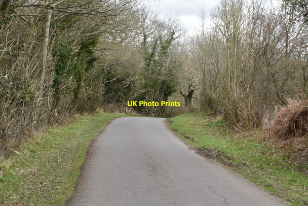 Photo 6"x4" Mountfield Lane Oxley's Green c2021 P1