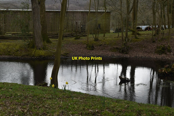 Photo 6"x4" Pond by Mountfield Lane Oxley's Green c2021