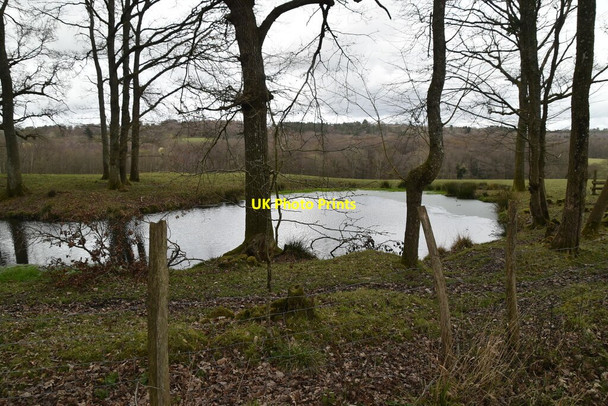 Photo 6"x4" Pond by Mountfield Lane Oxley's Green c2021