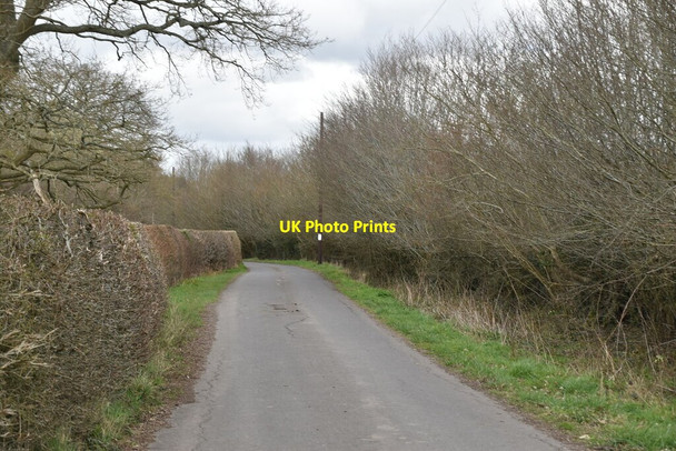 Photo 6"x4" Mountfield Lane Oxley's Green c2021