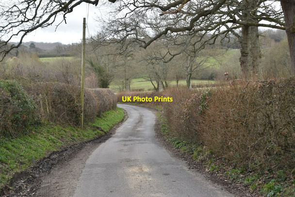 Photo 6"x4" Mountfield Lane Mountfield\/TQ7320 c2021