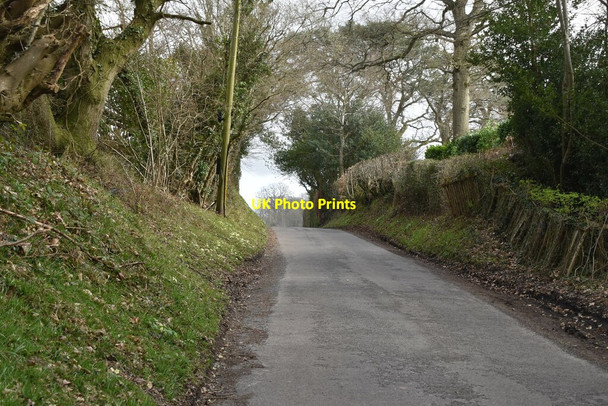 Photo 6"x4" Mountfield Lane Mountfield\/TQ7320 c2021 P1