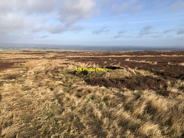 Photo 6"x4" Grouse Butts, Barningham Moor Scargill c2022