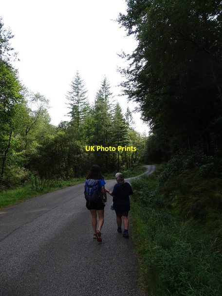 Photo 6"x4" Walking along the road Ardgartan c2021