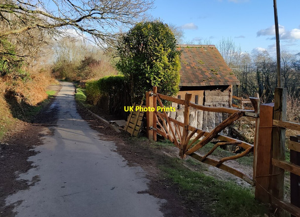 Photo 6"x4" Track near Gullet Cottage Chandler's Cross\/SO7738 c2022