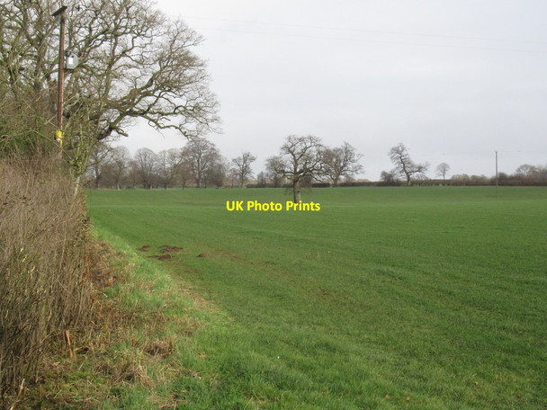 Photo 6"x4" Field, Brook Lodge Ashfield\/SJ3125 c2022
