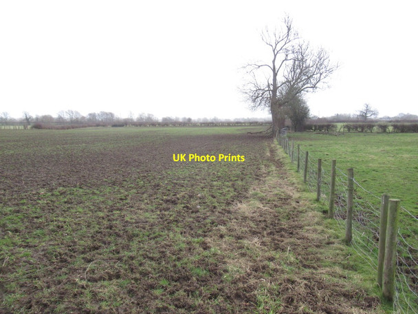 Photo 6"x4" Poached field near Maesbury Ashfield\/SJ3125 c2022