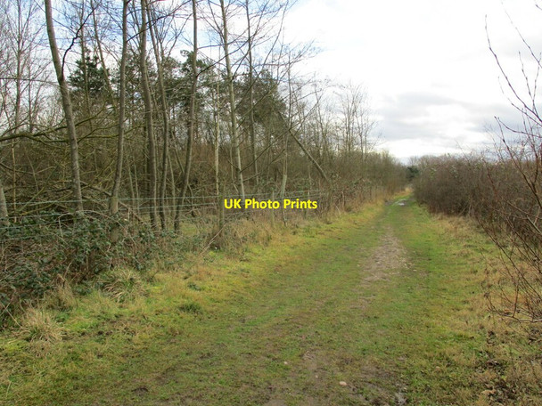 Photo 6"x4" Track towards Bellmoor Farm Sutton Cum Lound c2022