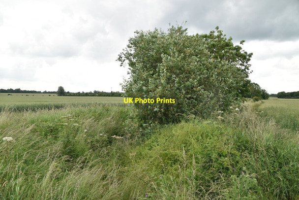 Photo 6"x4" Drainage ditch Litlington\/TL3142 c2021