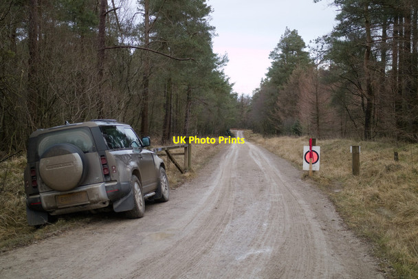 Photo 6"x4" Forest track, Wardle Rigg Stape c2022