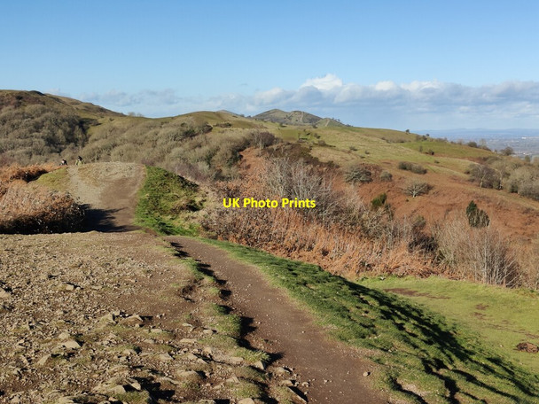 Photo 6"x4" Path on Swinyard Hill Chandler's Cross\/SO7738 c2022