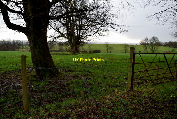 Photo 6"x4" Mullaghslin Glebe Milltown\/H5775 c2022