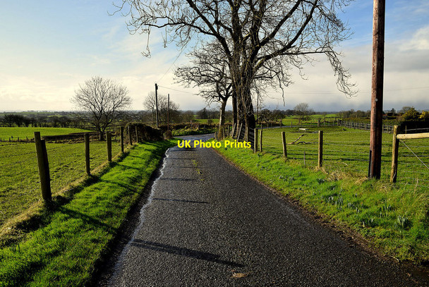 Photo 6"x4" Shinnagh Road, Bracky Milltown\/H5775 c2022
