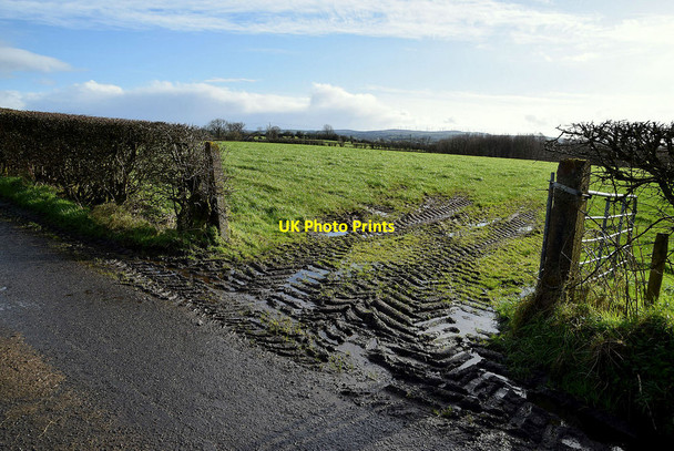 Photo 6"x4" Muddy entrance to field, Bracky Milltown\/H5775 c2022
