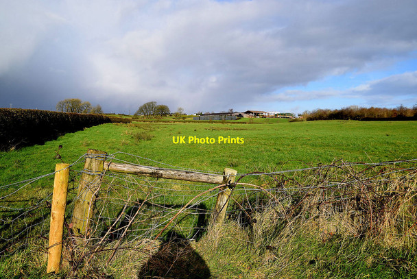 Photo 6"x4" Bracky Townland Milltown\/H5775 c2022