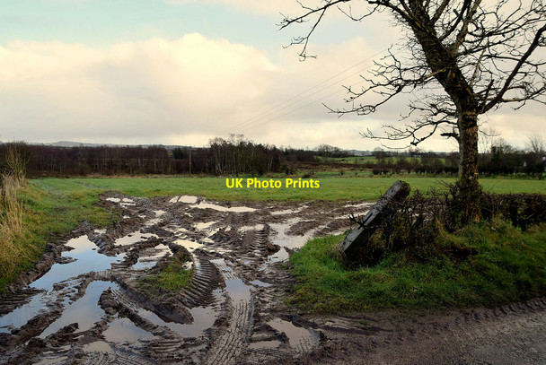 Photo 6"x4" Muddy entrance to field, Mullaghslin Glebe Milltown\/H5775 c2022