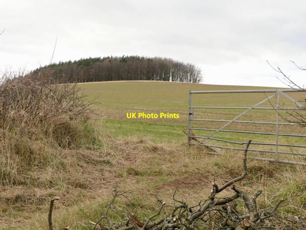 Photo 6"x4" Lawhead Hill, Papple Garvald\/NT5870 c2022