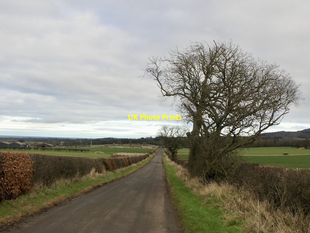 Photo 6"x4" Long straight road, Whittingehame Luggate Burn c2022