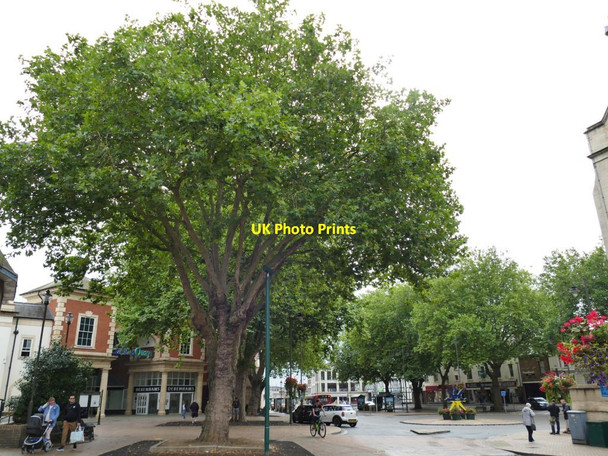 Photo 6"x4" Trees in Banbury Marketplace Banbury\/SP4540 c2021