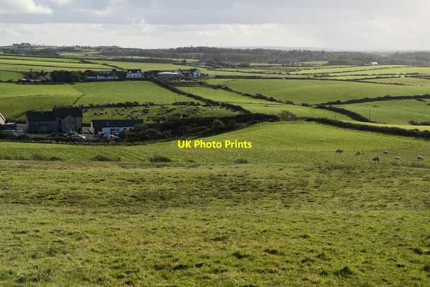 Photo 6"x4" Antrim pasture Portballintrae c2021