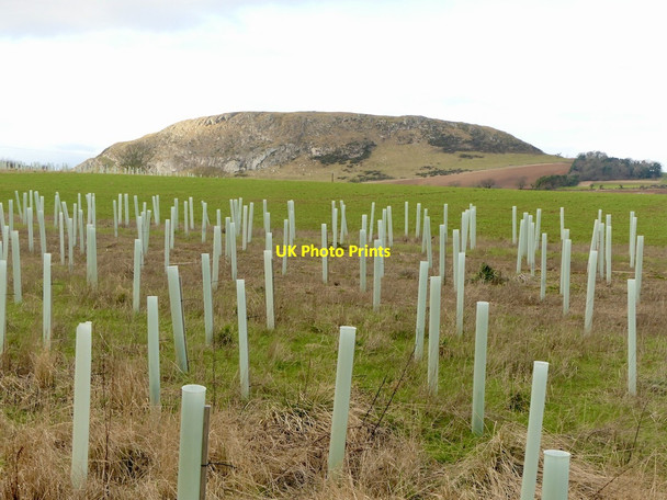 Photo 6"x4" Shelter tubes and Traprain Law Luggate Burn c2022