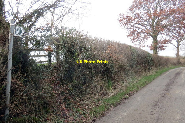Photo 6"x4" Llwybr yn gadael heol  \/ Path exits a road Llandovery\/Llanymddyfri c2022