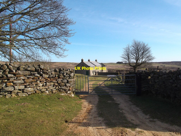 Photo 6"x4" Low Thwaites Fangdale Beck c2022