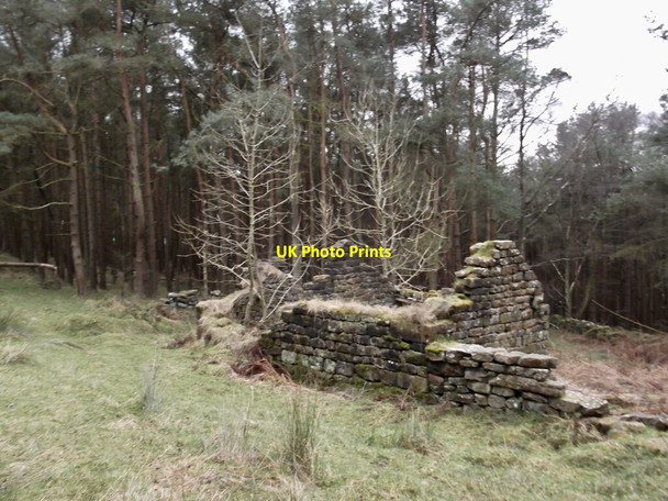 Photo 6"x4" A ruin in the wood Fangdale Beck c2022