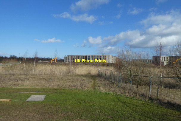 Photo 6"x4" Towards the lake Heslington c2022