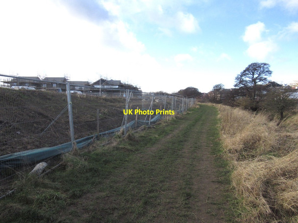 Photo 6"x4" Path beside the Letham Burn Haddington\/NT5173 c2022