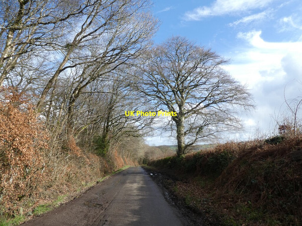Photo 6"x4" Minor road on Horridge Moor Chulmleigh c2022