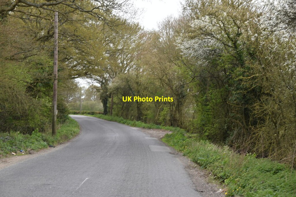 Photo 6"x4" New Barn Rd Farthing Green c2021