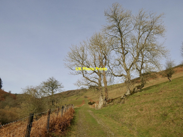 Photo 6"x4" Road to Upper Graig, Pilleth Pilleth c2022
