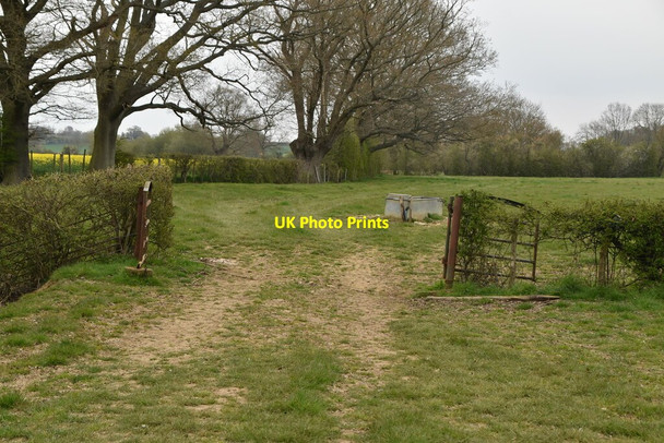 Photo 6"x4" Footpath through open gate Farthing Green c2021