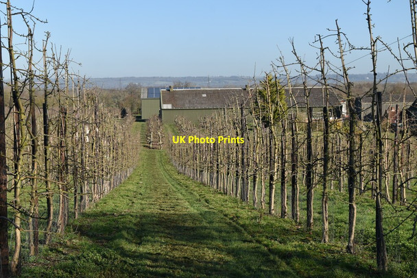 Photo 6"x4" Northiam Farm Capel Cross c2021