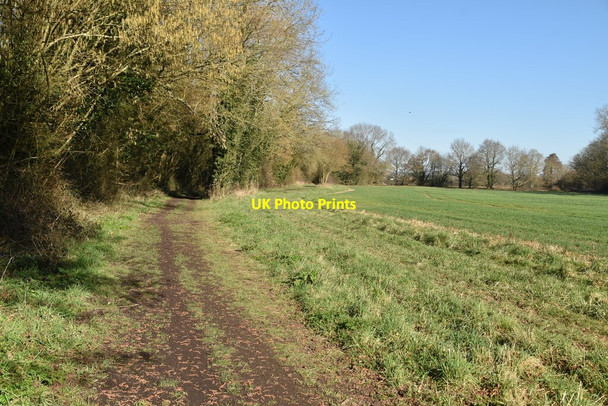 Photo 6"x4" Footpath, Teise valley Great Cheveney c2021