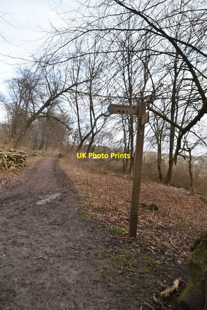 Photo 6"x4" North Downs Way Oxted c2021