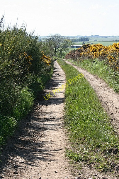 Photo 6"x4" Farm Track Middlemuir\/NJ8643 c2009