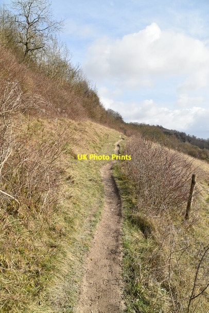 Photo 6"x4" North Downs Way Woldingham c2021
