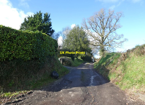 Photo 6"x4" Track to Leigh Farm Chulmleigh c2022