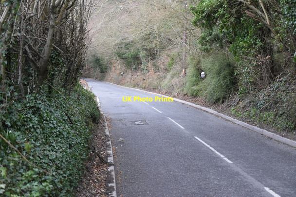 Photo 6"x4" Chalkpit Lane Limpsfield c2021