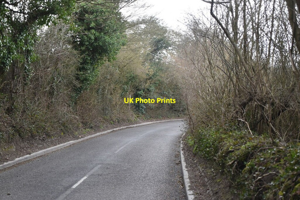 Photo 6"x4" Chalkpit Lane Limpsfield c2021 P1
