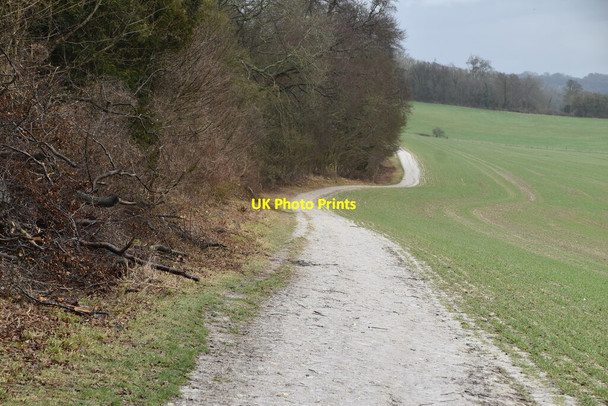 Photo 6"x4" North Downs Way Limpsfield c2021 P4