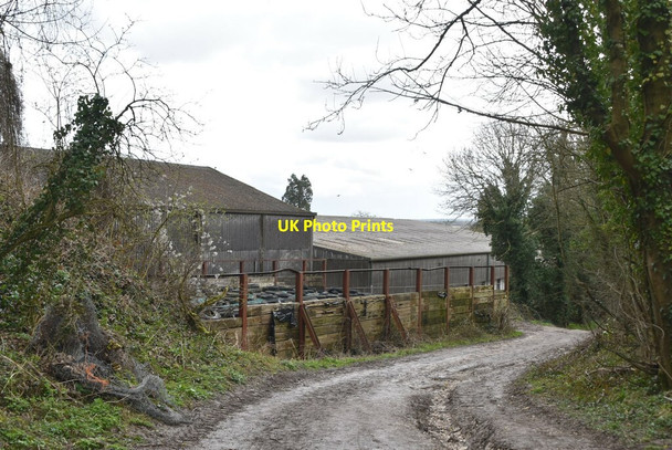 Photo 6"x4" Pitchfont Lane Limpsfield c2021