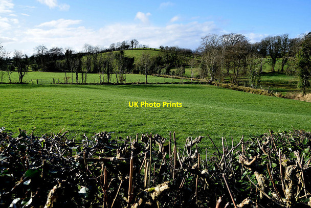 Photo 6"x4" Edenafogry Townland Fintona c2022 P1